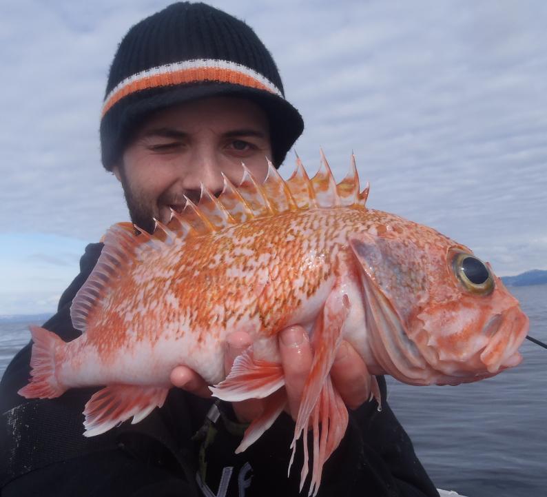 Blåkjeft 1.020 kg Blåkjeft 1.020 kg
