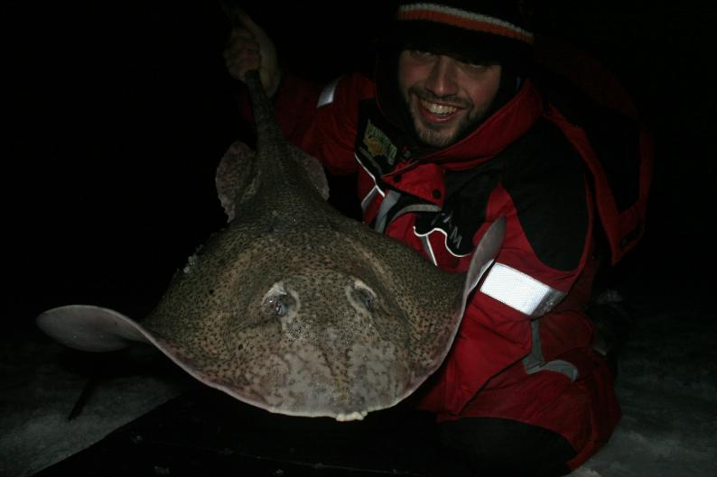 Piggskate på 5,350 kg Piggskate på 5,350 kg
