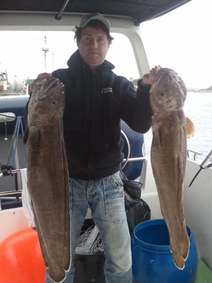 Brosmer på 8 og 9 kg Brosmer på 8 og 9 kg