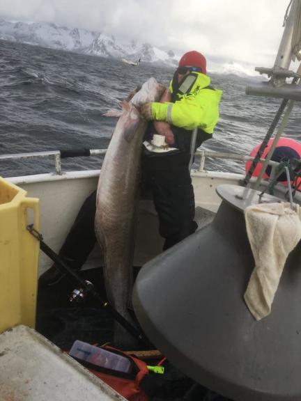 Lange 34,200 kg
